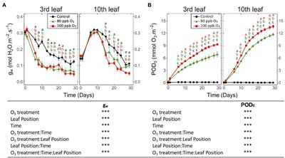 Dynamics of Foliar Responses to O3 Stress as a Function of Phytotoxic O3 Dose in Hybrid Poplar